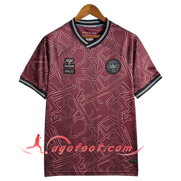 Maillot Equipe Foot Danemark Special Edition Rouge Foncé 2024/2025