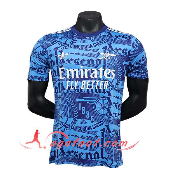 Maillot de Foot Arsenal Special Edition Bleu 2024/2025