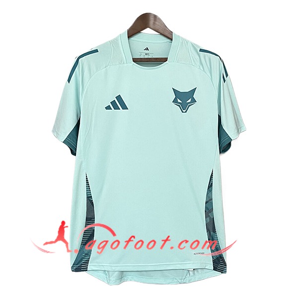 Training T-Shirts Cruzeiro Vert 2025/2026