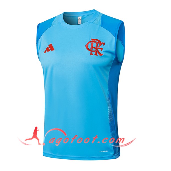 Training Debardeur Flamengo Bleu 2025/2026