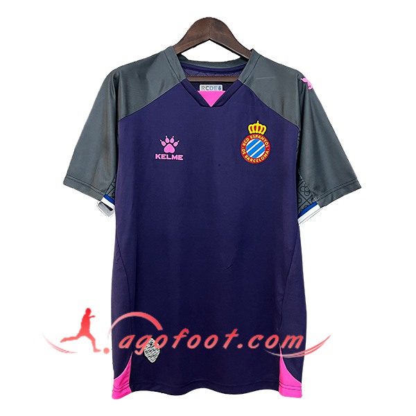 Maillot Equipe Foot Espagne Special Edition Pourpre 2024/2025