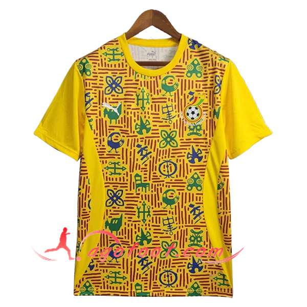 Training T-Shirts Ghana Jaune 2025/2026