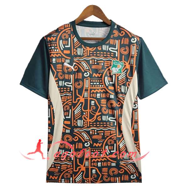 Training T-Shirts Cote d'Ivoire Orange/Vert 2025/2026