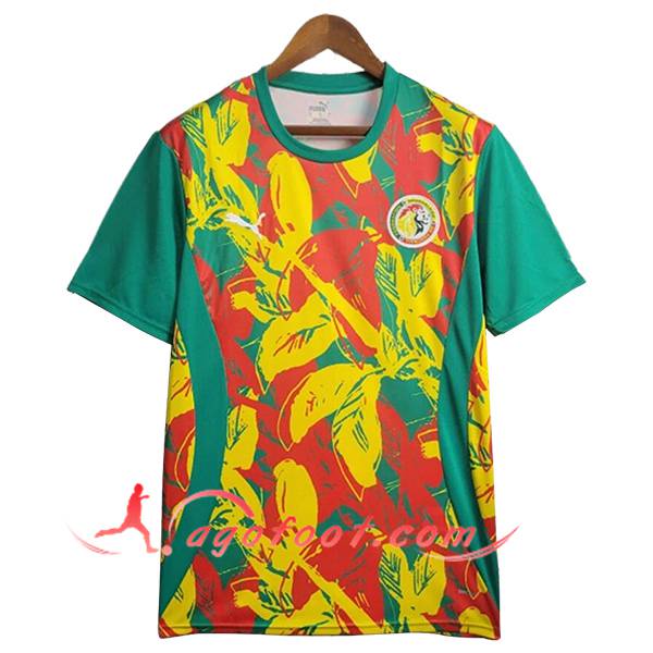 Training T-Shirts Senegal Vert/Jaune/Rouge 2025/2026