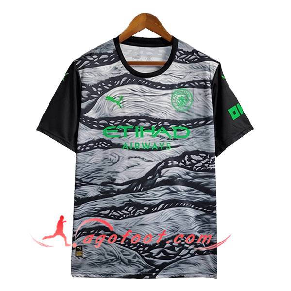 Maillot de Foot Manchester City Special Edition Gris 2025/2026