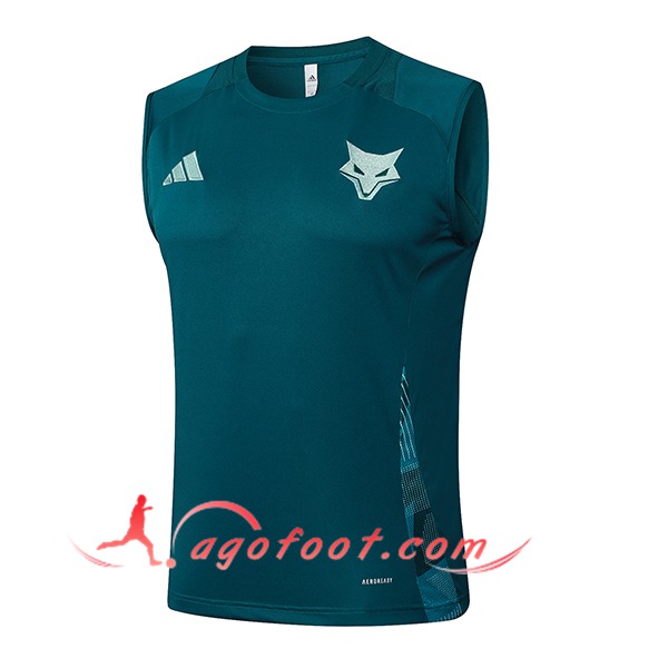 Training Debardeur Cruzeiro Vert 2025/2026