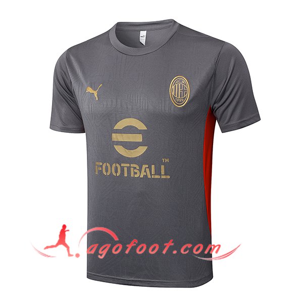 Training T-Shirts Milan AC Gris/Noir 2025/2026