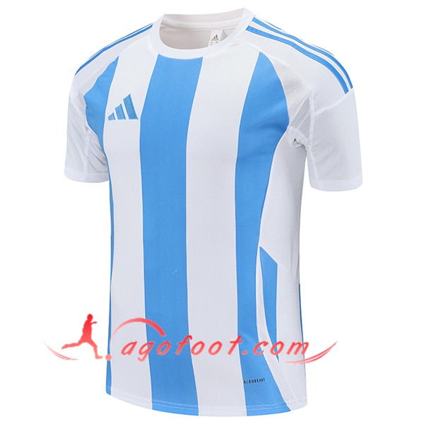 Training T-Shirts Adidas Blanc/Bleu 2025/2026