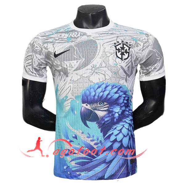 Maillot Equipe Foot Bresil Special Edition Gris/Bleu 2025/2026