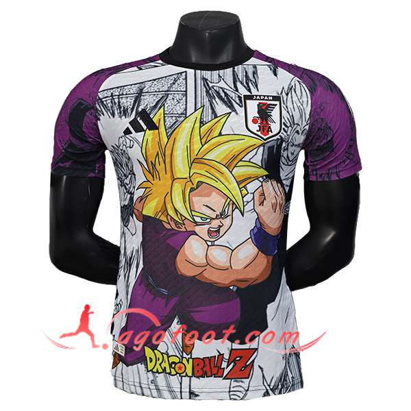 Maillot Equipe Foot Japon Special Edition Pourpre 2025/2026