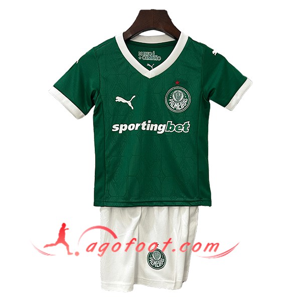 Nouveau Maillot de Foot Palmeiras Enfant Domicile 2025/2026