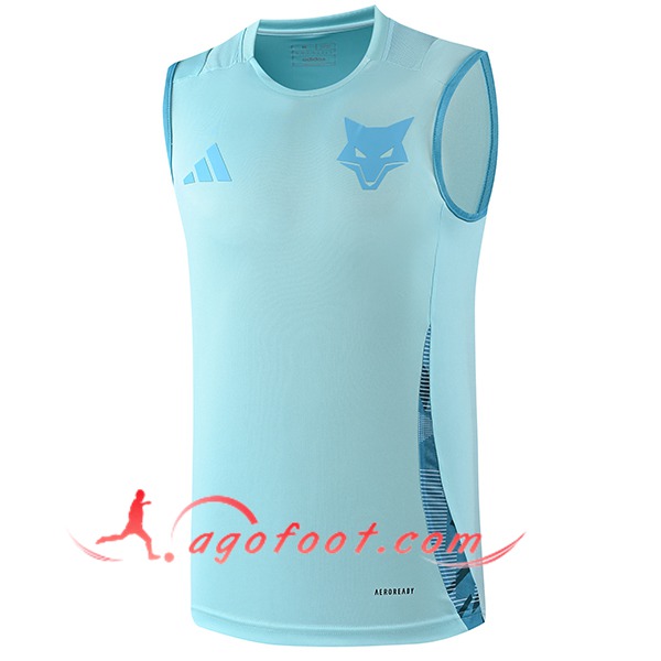 Training Debardeur Cruzeiro Bleu Clair 2025/2026