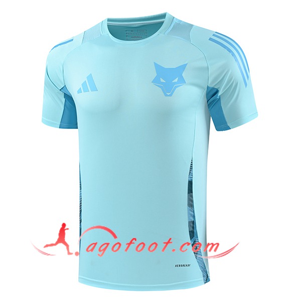 Training T-Shirts Cruzeiro Bleu Clair 2025/2026