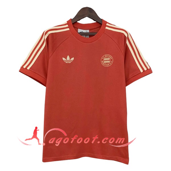 Training T-Shirts Bayern Munich Rouge/Beige 2025/2026