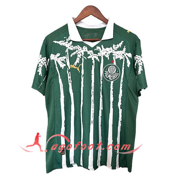 Maillot de Foot Palmeiras Special Edition Vert 2025/2026
