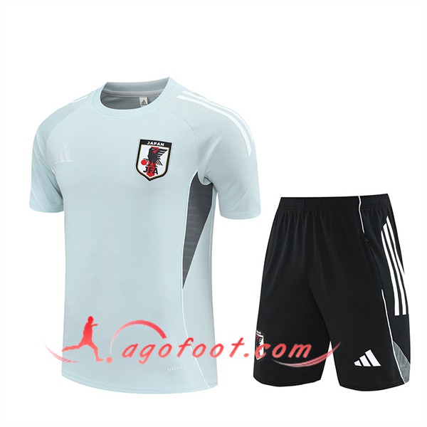 Ensemble Training T-Shirts Japon Gris Clair 2025/2026