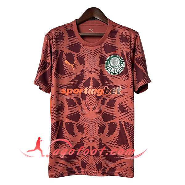 Maillot de Foot Palmeiras Gardien De But Rouge 2025/2026