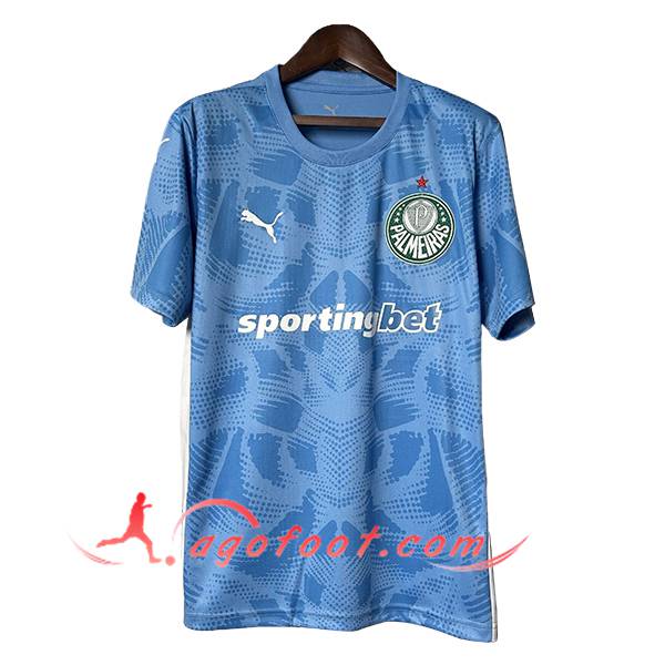 Maillot de Foot Palmeiras Gardien De But Bleu 2025/2026