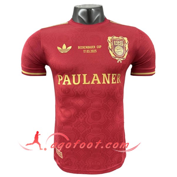 Maillot de Foot Bayern Munich 125th Anniversary Edition Rouge 2025/2026