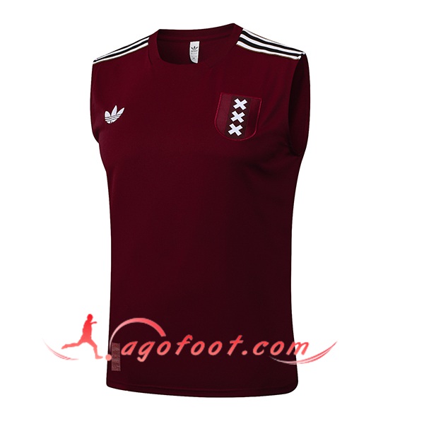 Training Debardeur Ajax Brun/Blanc 2025/2026