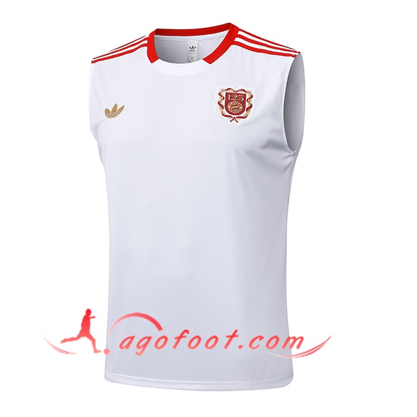 Training Debardeur Bayern Munich Blanc/Rouge 2025/2026