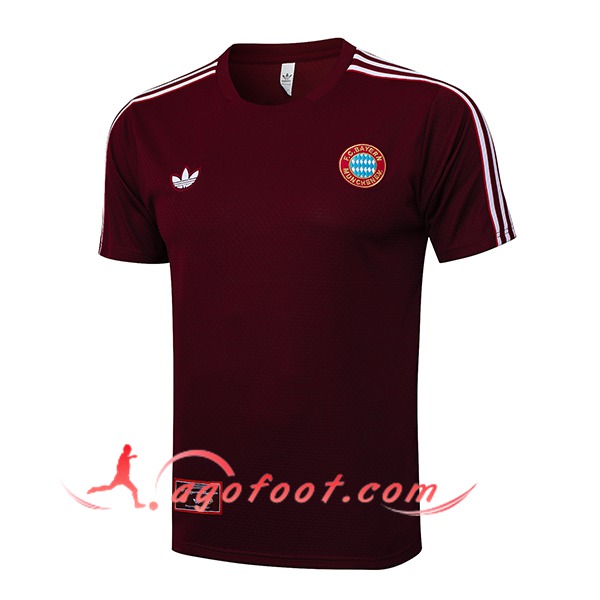 Training T-Shirts Bayern Munich Rouge/Blanc 2025/2026