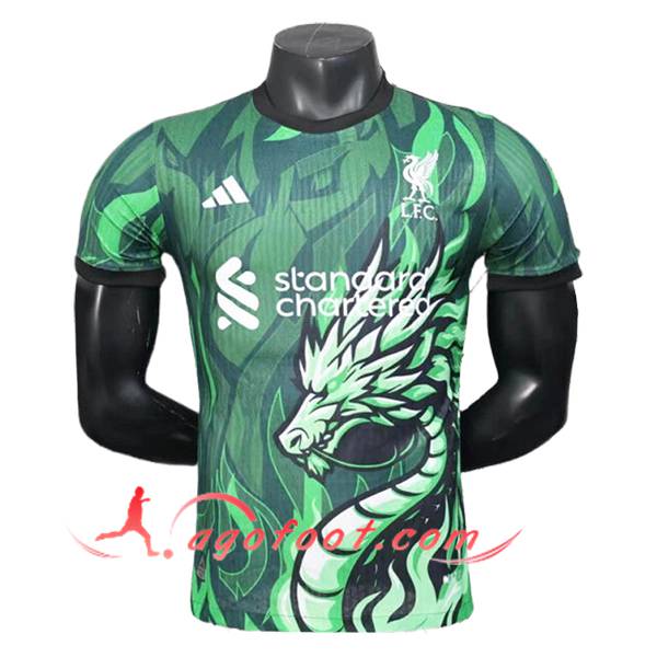 Training T-Shirts FC Liverpool Vert 2025/2026