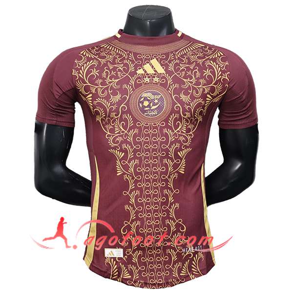Maillot Equipe Foot Algérie Special Edition Brune 2025/2026