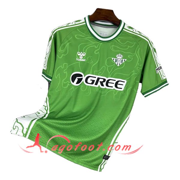 Training T-Shirts Real Betis Vert/Blanc 2025/2026