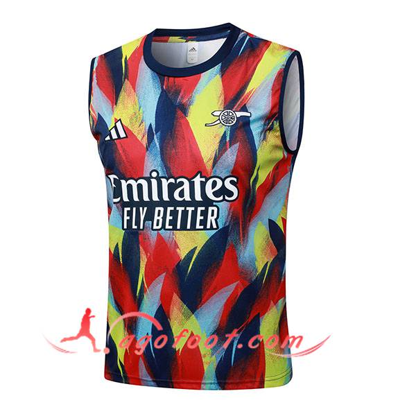 Training Debardeurs Arsenal Rouge/Bleu/Jaune 2025/2026