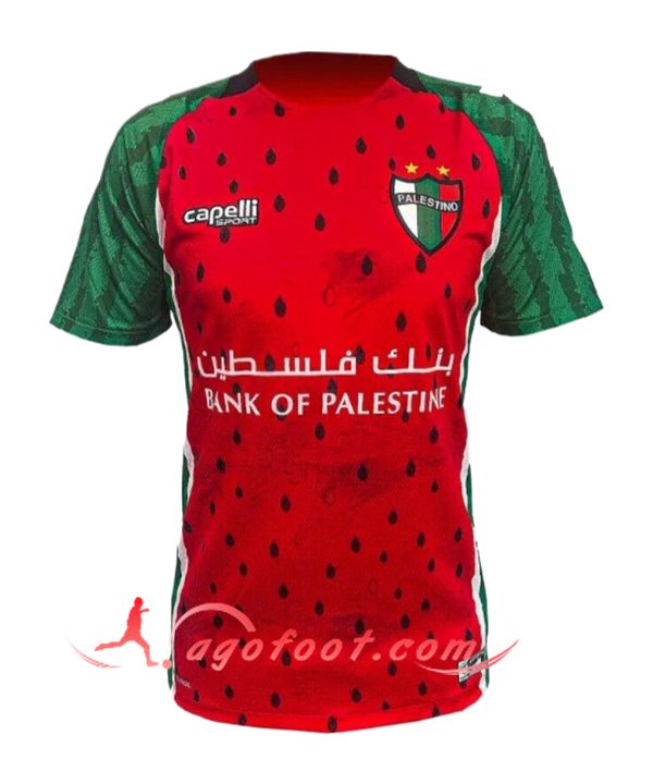 Nouveau Maillot de Foot Palestino Third 2025/2026