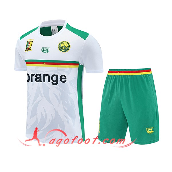 Ensemble Training T-Shirts Cameroun Blanc/Vert 2025/2026