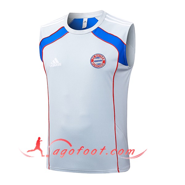 Training Debardeurs Bayern Munich Gris/Rouge/Bleu 2025/2026