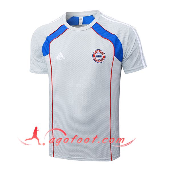 Training T-Shirts Bayern Munich Gris/Rouge/Bleu 2025/2026