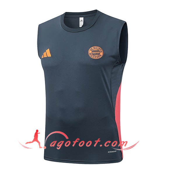 Training Debardeurs Bayern Munich Gris/Orange 2025/2026