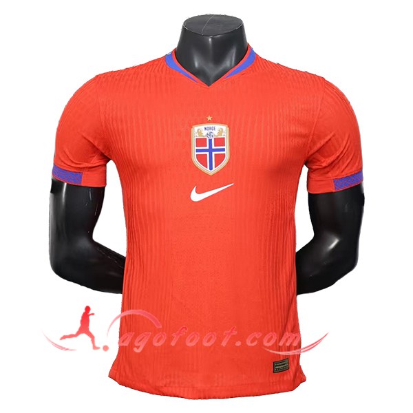 Maillot Equipe Foot Norvège Domicile 2025/2026