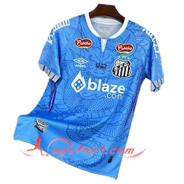 Training T-Shirts Santos Bleu 2025/2026