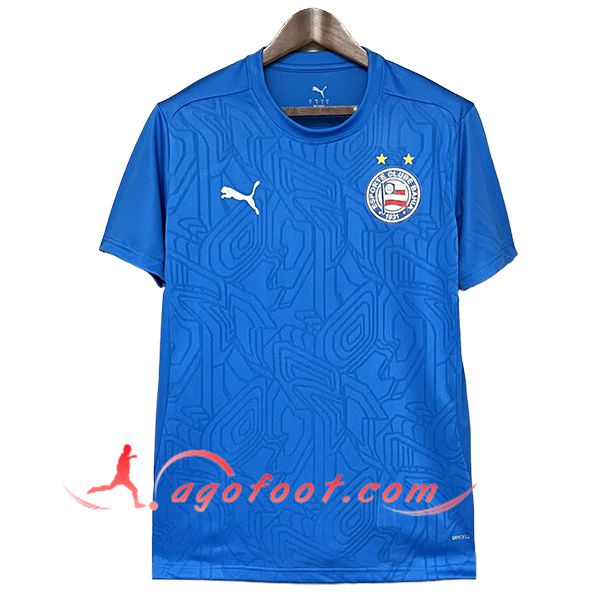 Training T-Shirts Bahia Bleu 2025/2026