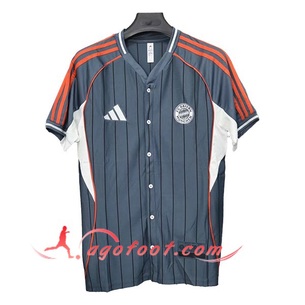 Maillot de Foot Bayern Munich Special Edition Gris 2025/2026