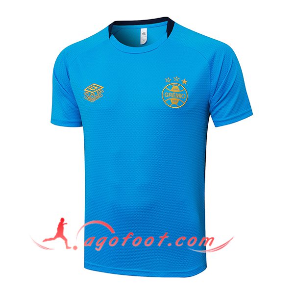 Training T-Shirts Gremio Bleu 2025/2026
