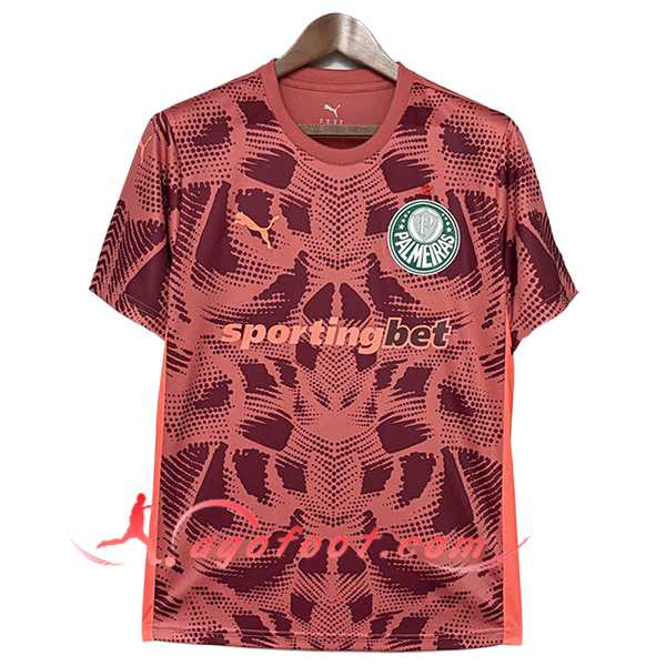 Maillot de Foot Palmeiras Gardien De But Rouge 2025/2026