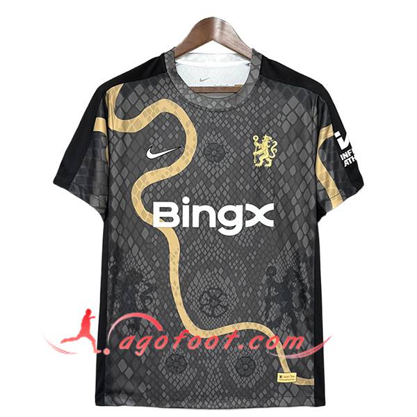 Maillot de Foot Chelsea Special Edition Gris 2025/2026