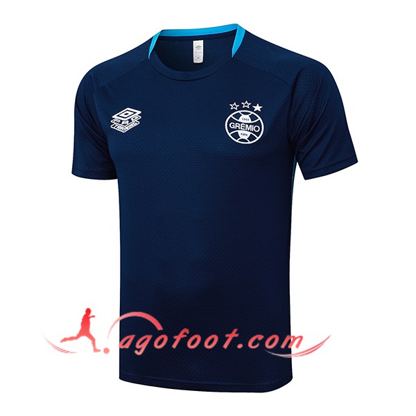 Training T-Shirts Gremio Bleu Royal 2025/2026