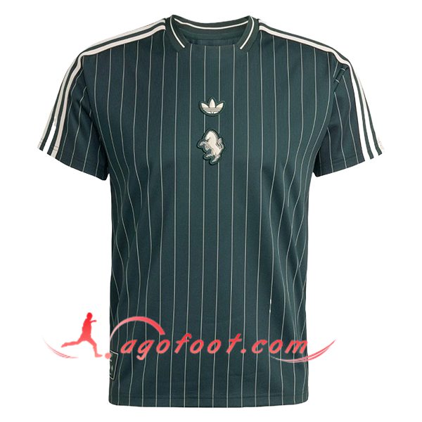 Maillot de Foot Juventus Special Edition Vert 2025/2026