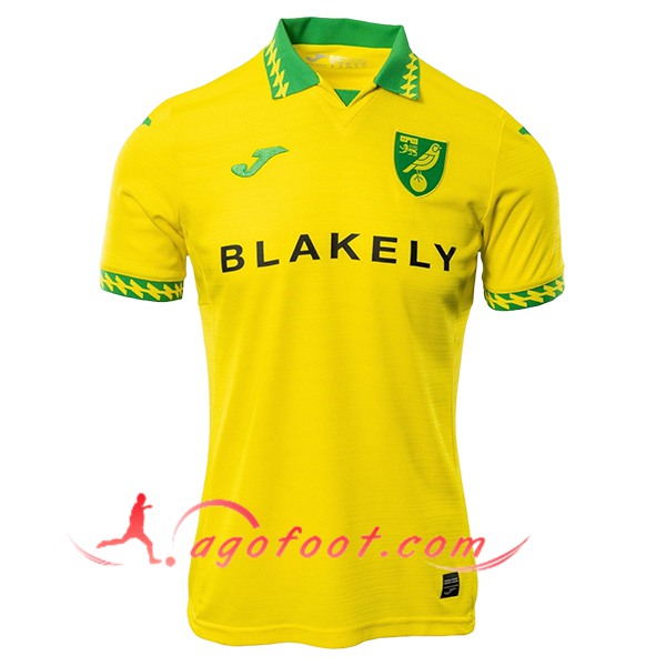 Nouveau Maillot de Foot Norwich City Domicile 2025/2026