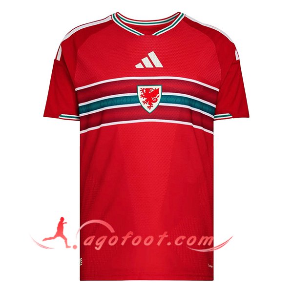Nouveau Maillot Equipe Foot Pays de Galles Domicile 2026/2027