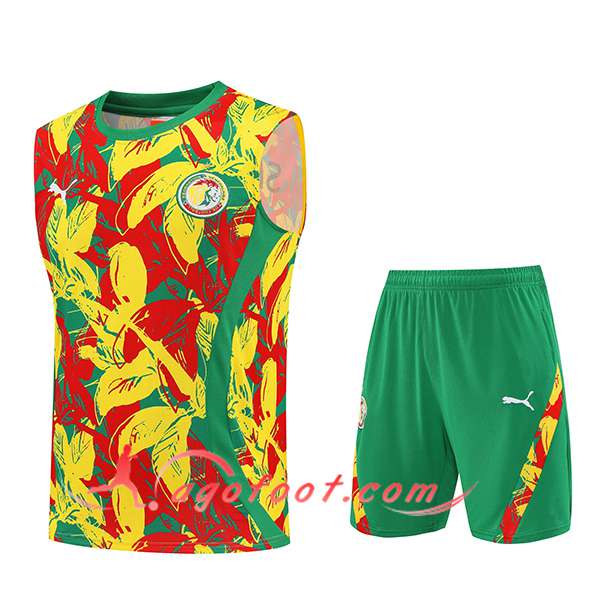 Ensemble Training Debardeurs Senegal Jaune/Rouge/Vert 2025/2026