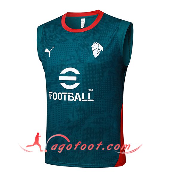 Training Debardeurs Milan AC Vert/Rouge 2025/2026