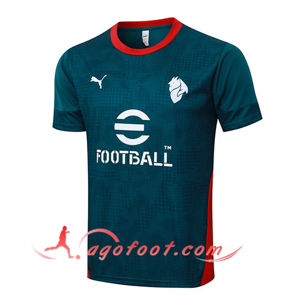 Training T-Shirt Milan AC Vert/Rouge 2025/2026