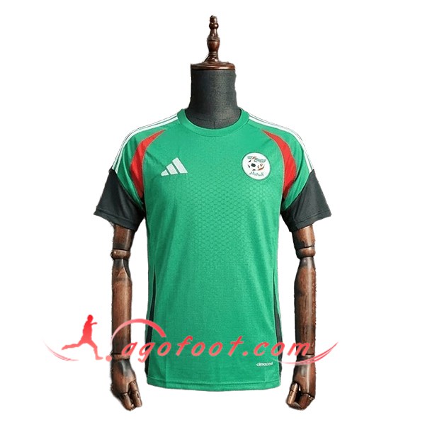 Training T-Shirt Algeria Vert/Blanc/Rouge 2025/2026